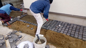 P_20190302_134147.jpg